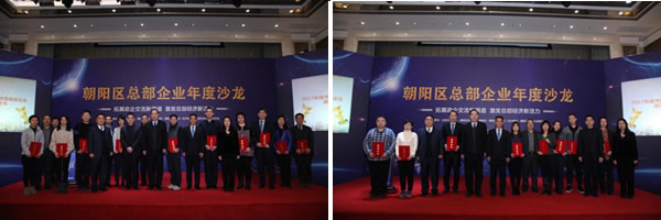 朝阳区总部企业年度沙龙成功举办(图5)