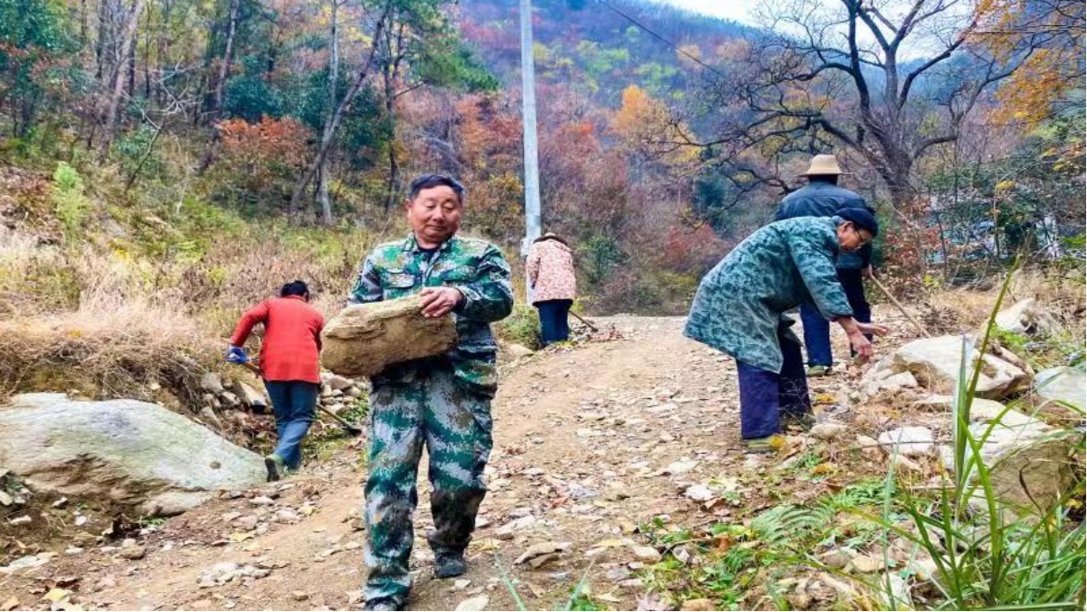 先锋模范 | 大别山里的“兵支书”：乡村振兴领头雁 群众致富领路人(图1)